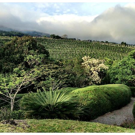 Appartamento Coffee Garden Ranch Costa Rica Concepcion  Esterno foto