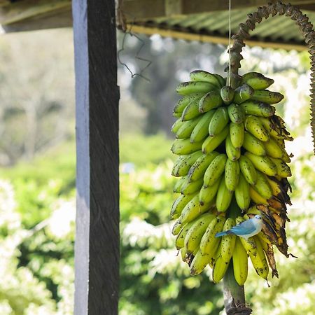 Appartamento Coffee Garden Ranch Costa Rica Concepcion  Esterno foto