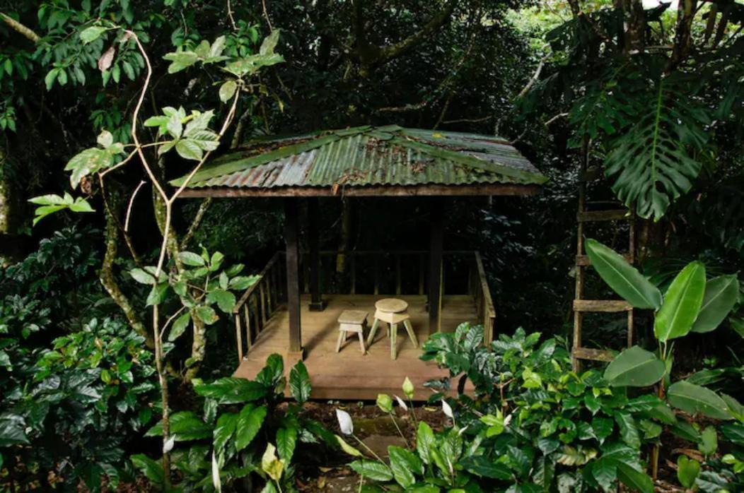 Appartamento Coffee Garden Ranch Costa Rica Concepcion  Esterno foto