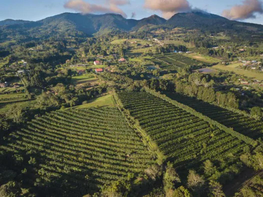 Appartamento Coffee Garden Ranch Costa Rica Concepcion  Esterno foto