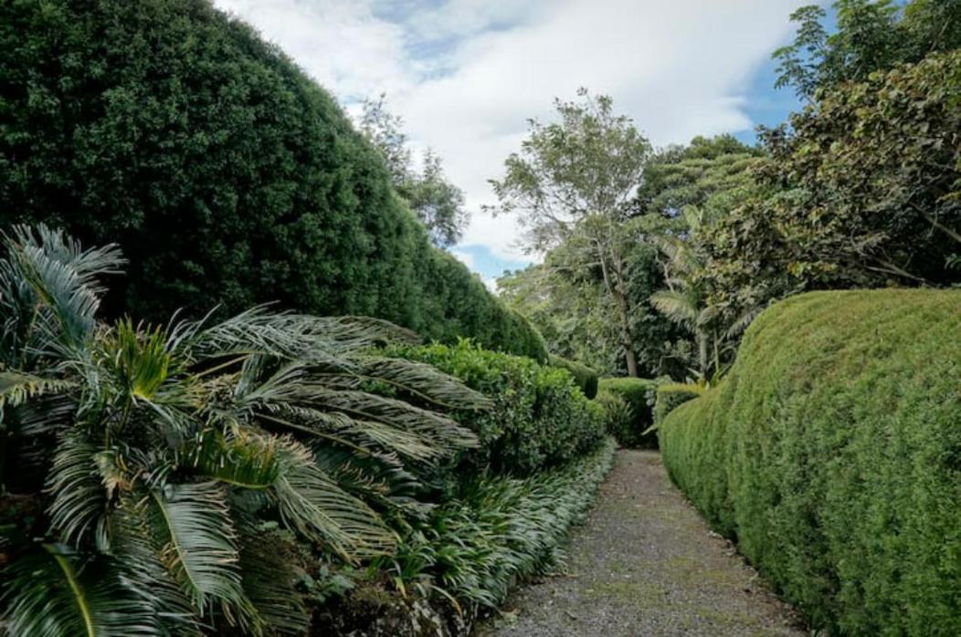 Appartamento Coffee Garden Ranch Costa Rica Concepcion  Esterno foto