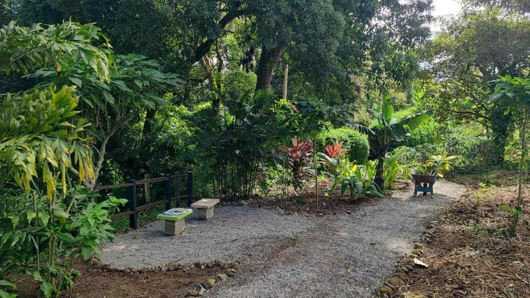 Appartamento Coffee Garden Ranch Costa Rica Concepcion  Esterno foto