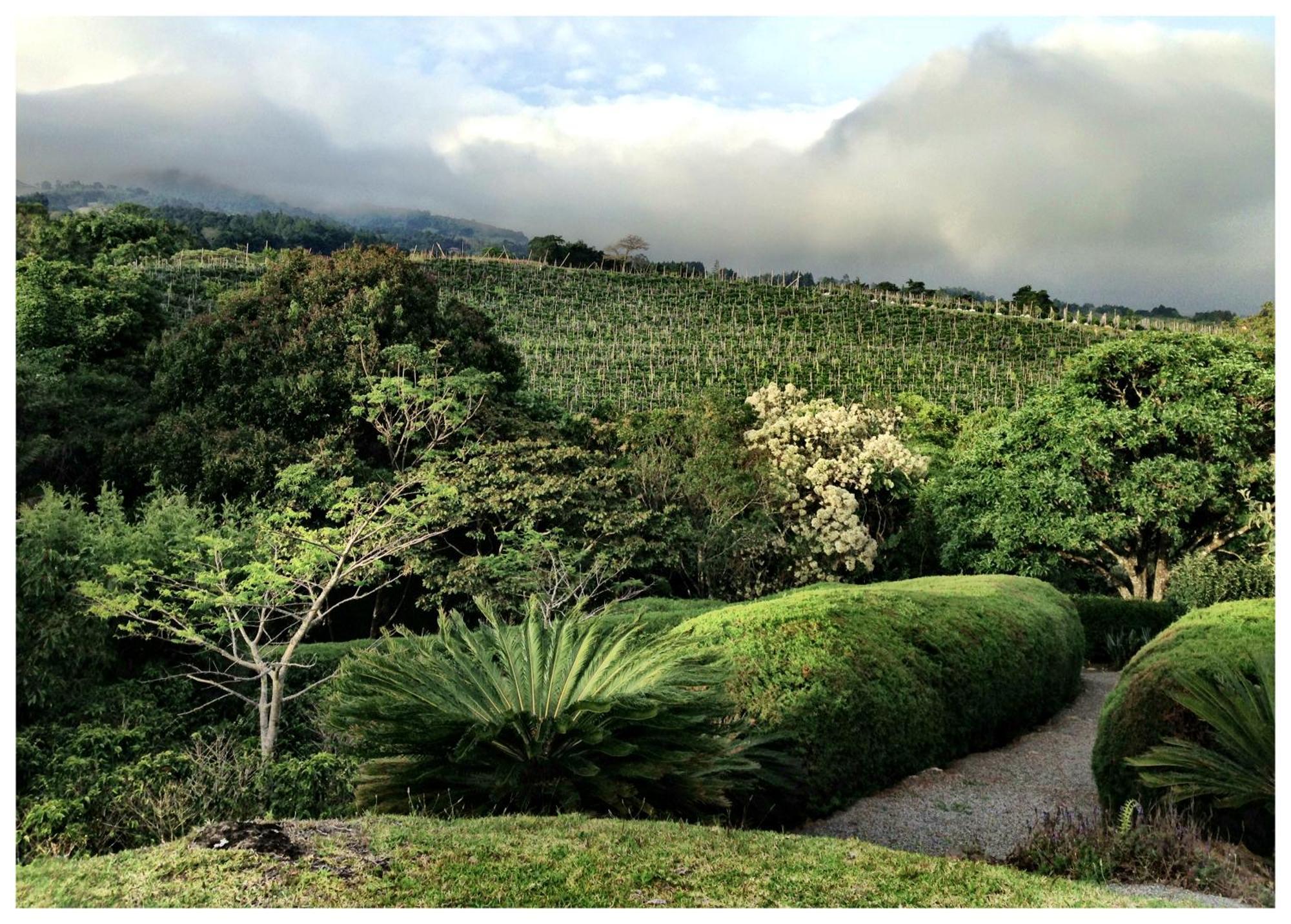 Appartamento Coffee Garden Ranch Costa Rica Concepcion  Esterno foto