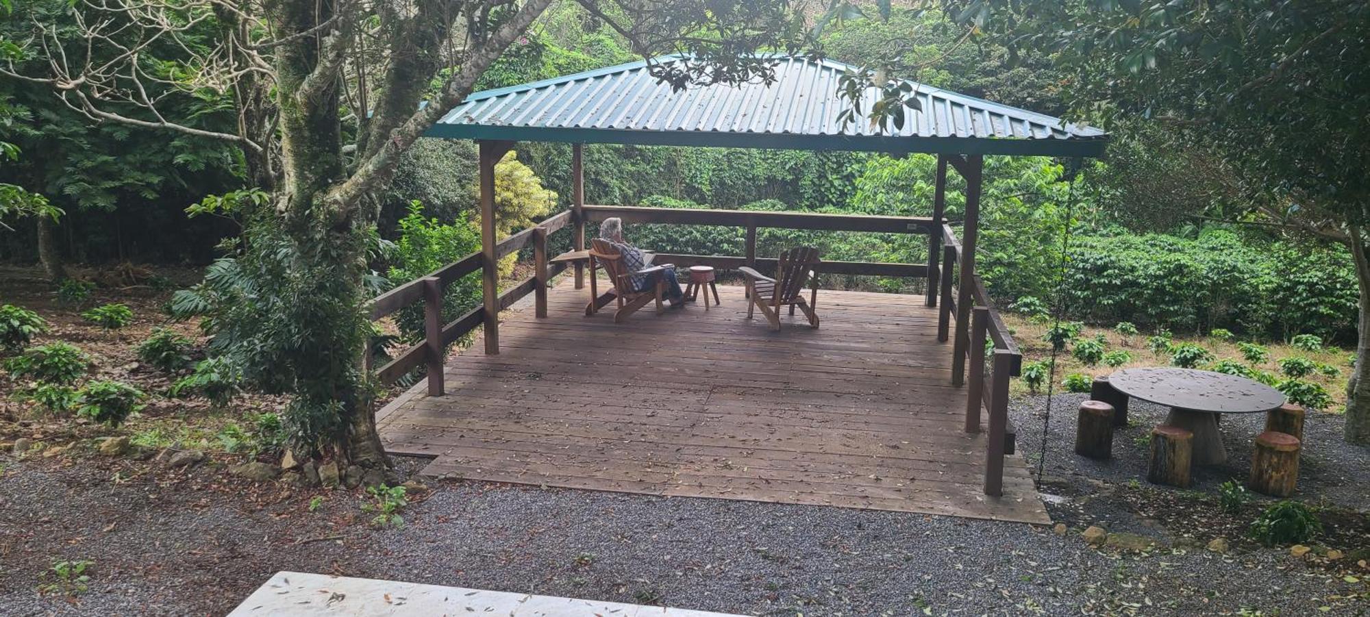 Appartamento Coffee Garden Ranch Costa Rica Concepcion  Esterno foto
